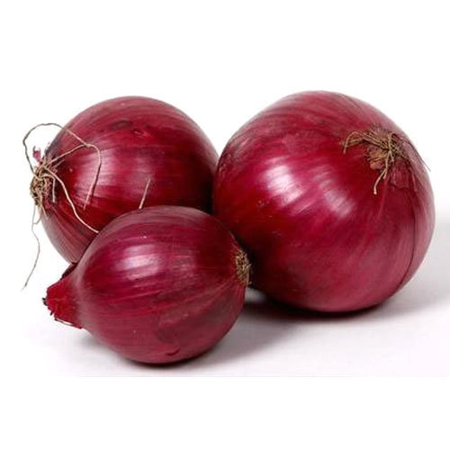 Red Indian Onion